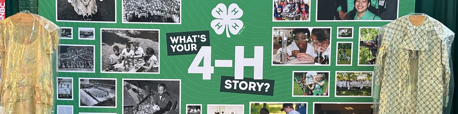 Whats your 4-H story