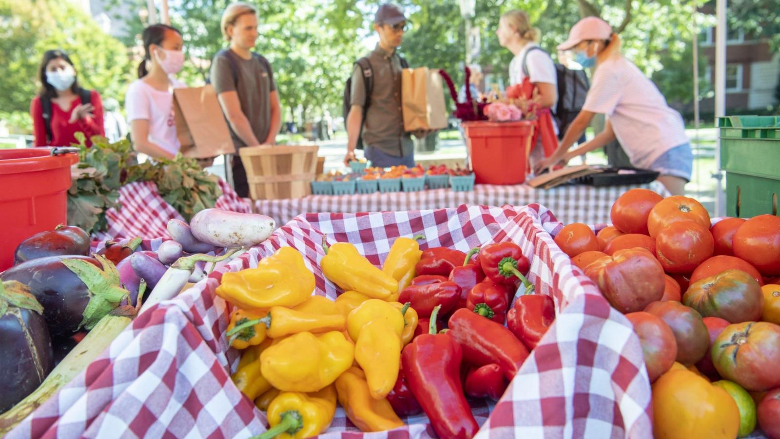 Farm Stand