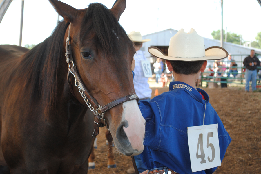 Horse