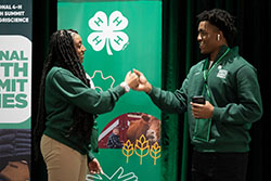 Volunteers greeting one another