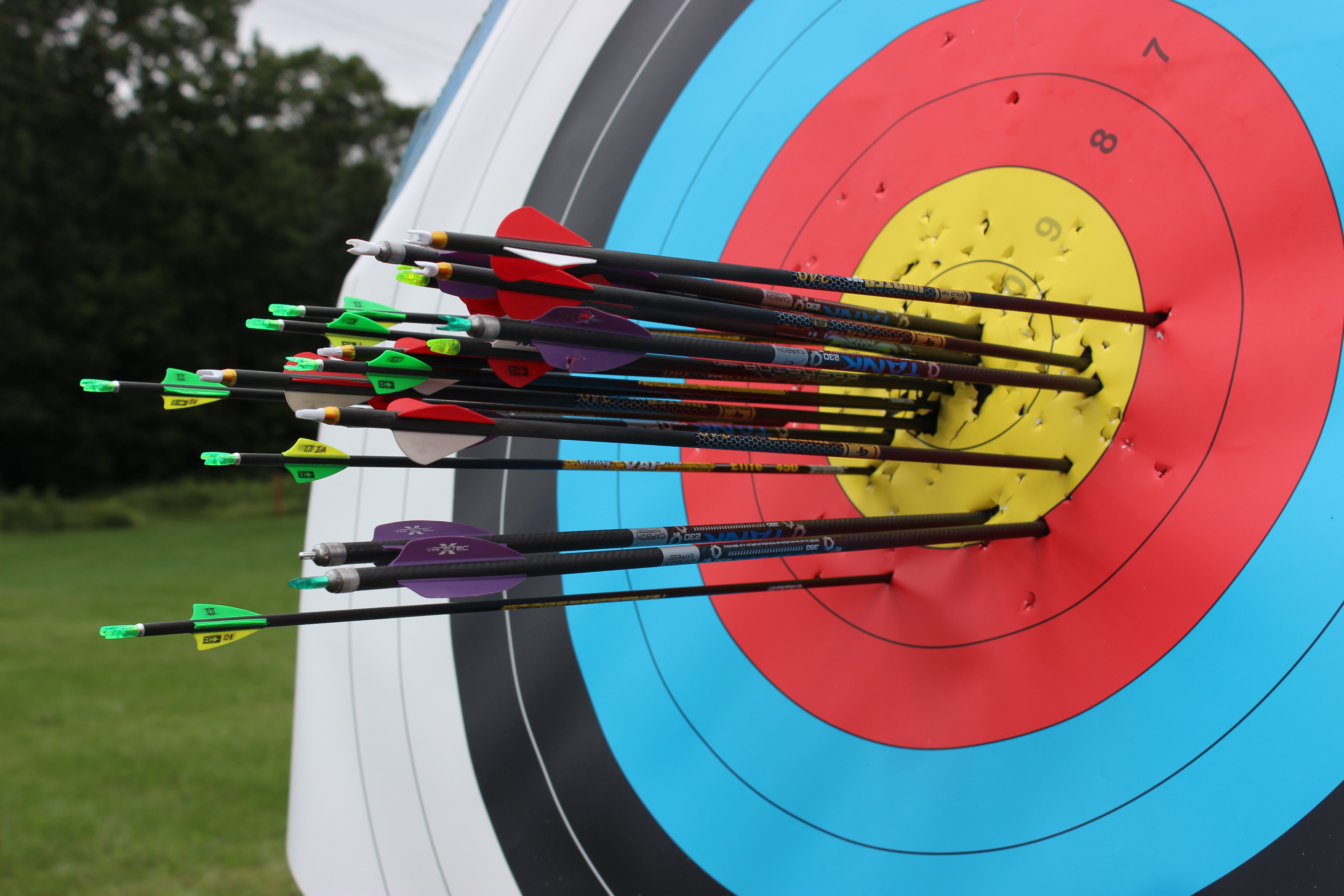 Shooting Sports Archery