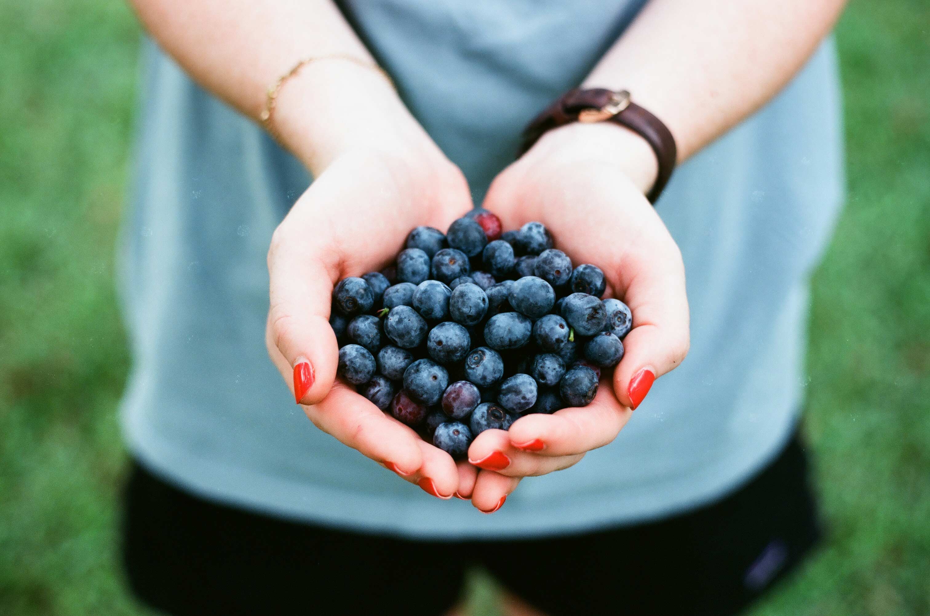 Berries in hand