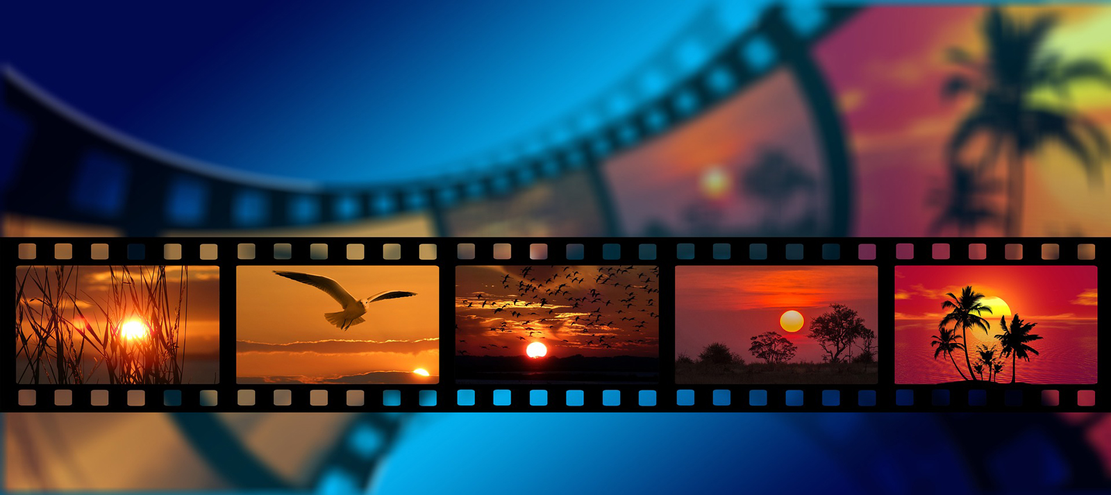 Video reel