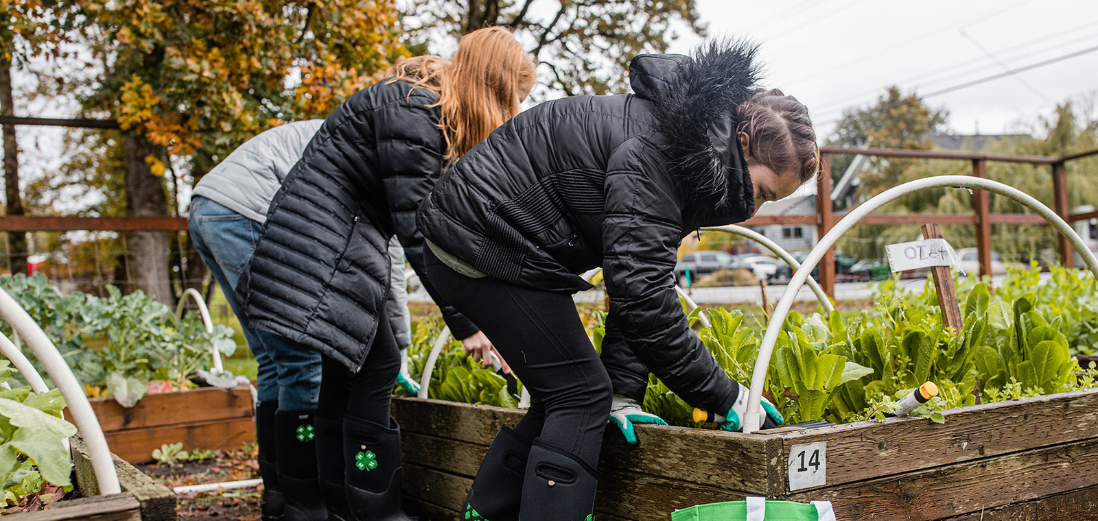 2 girls gardening in raised bed