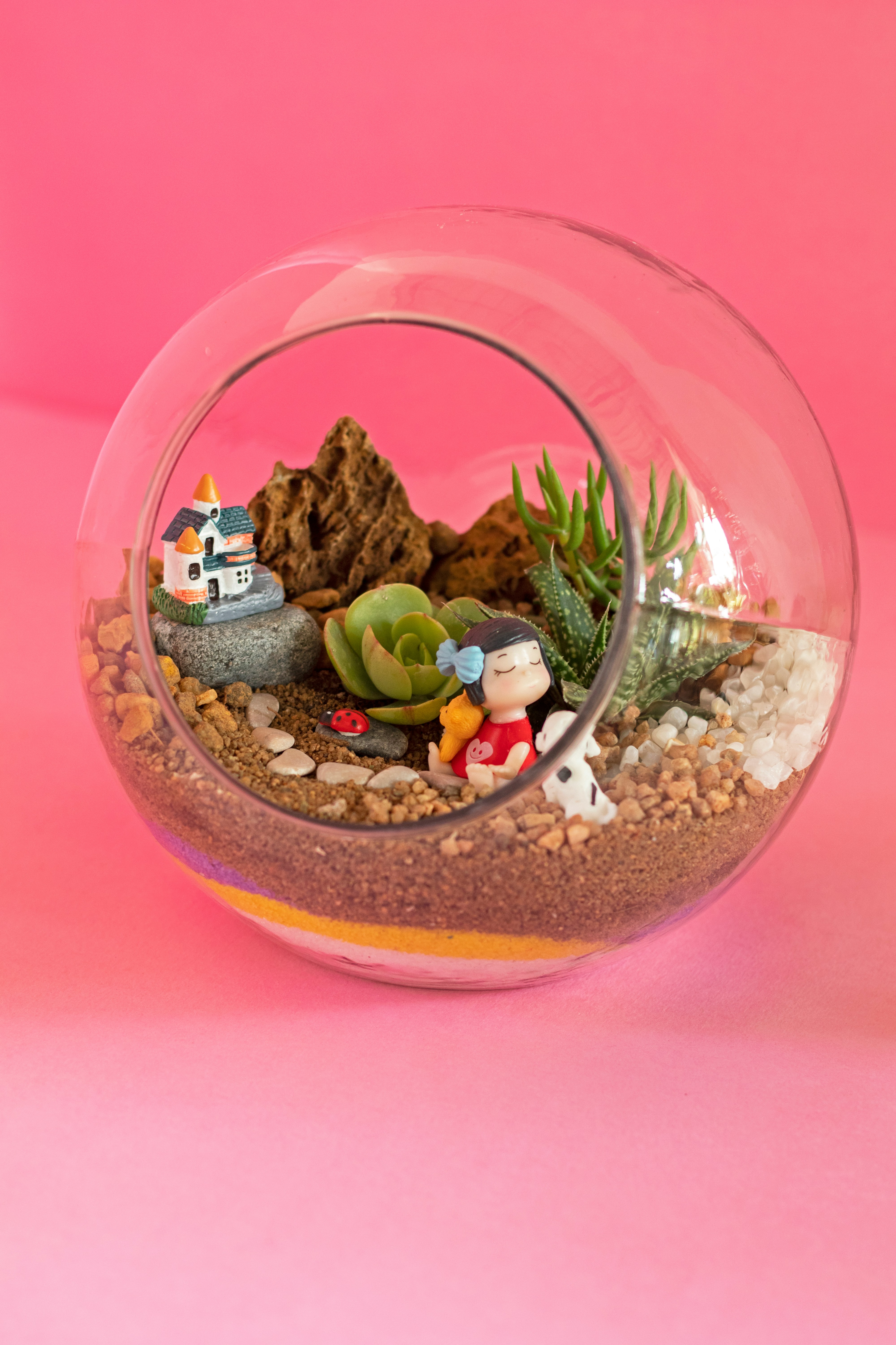 Terrarium with Plants