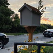 Free Little Art Gallery