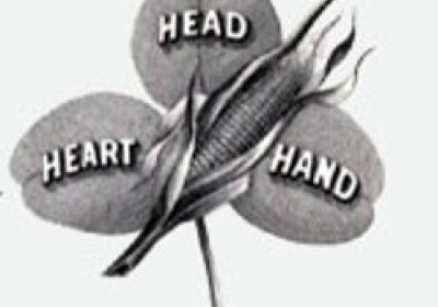 3 leaf clover emblem with the words Heart, Head, Hand on each leaf