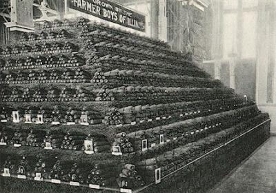 Display of corn grown by the Farmer Boys of Illinois