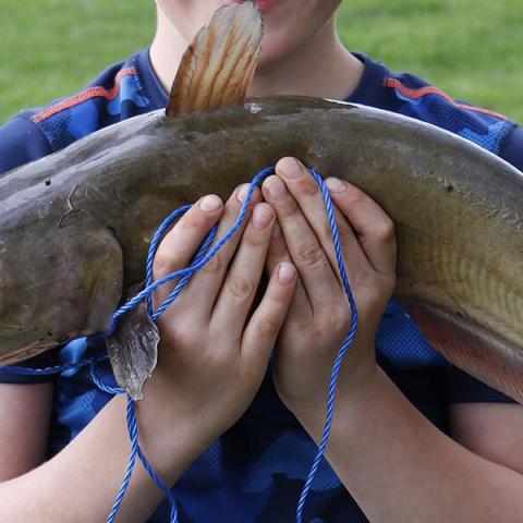 boy holding caught fish