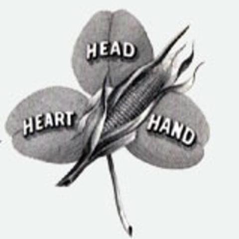 3 leaf clover emblem with the words Heart, Head, Hand on each leaf