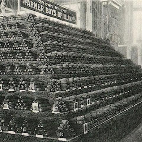 Display of corn grown by the Farmer Boys of Illinois