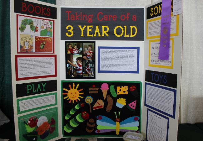 Exhibit board for the child development project on taking care of a 3 year old