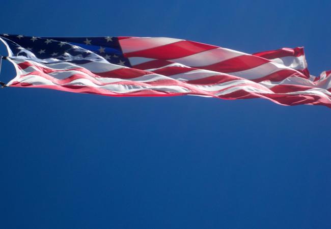 Citizenship - flag blowing in wind