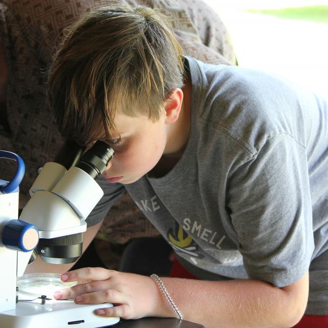 boy looks into microscope