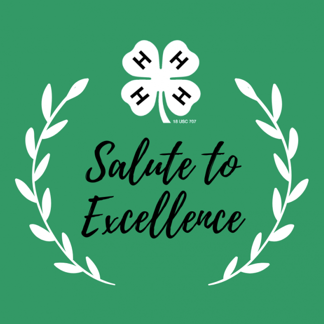 Salute to Excellence Award