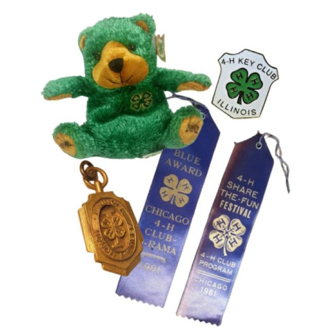 4-H ribbons, pins, and teddy bear