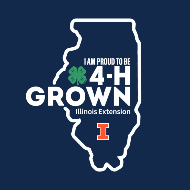 il 4h grown