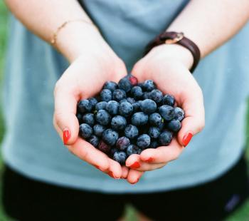 Berries in hand