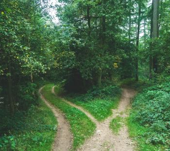 Wilderness path