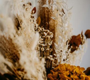Dried Flowers