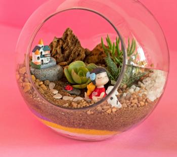 Terrarium with Plants