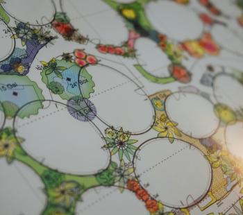 Landscape Design