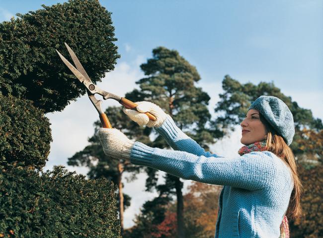 woman trimming topiary